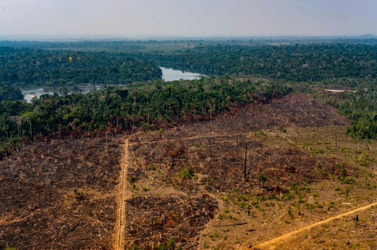 desmatamento na amazônia